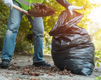 Garden waste collection