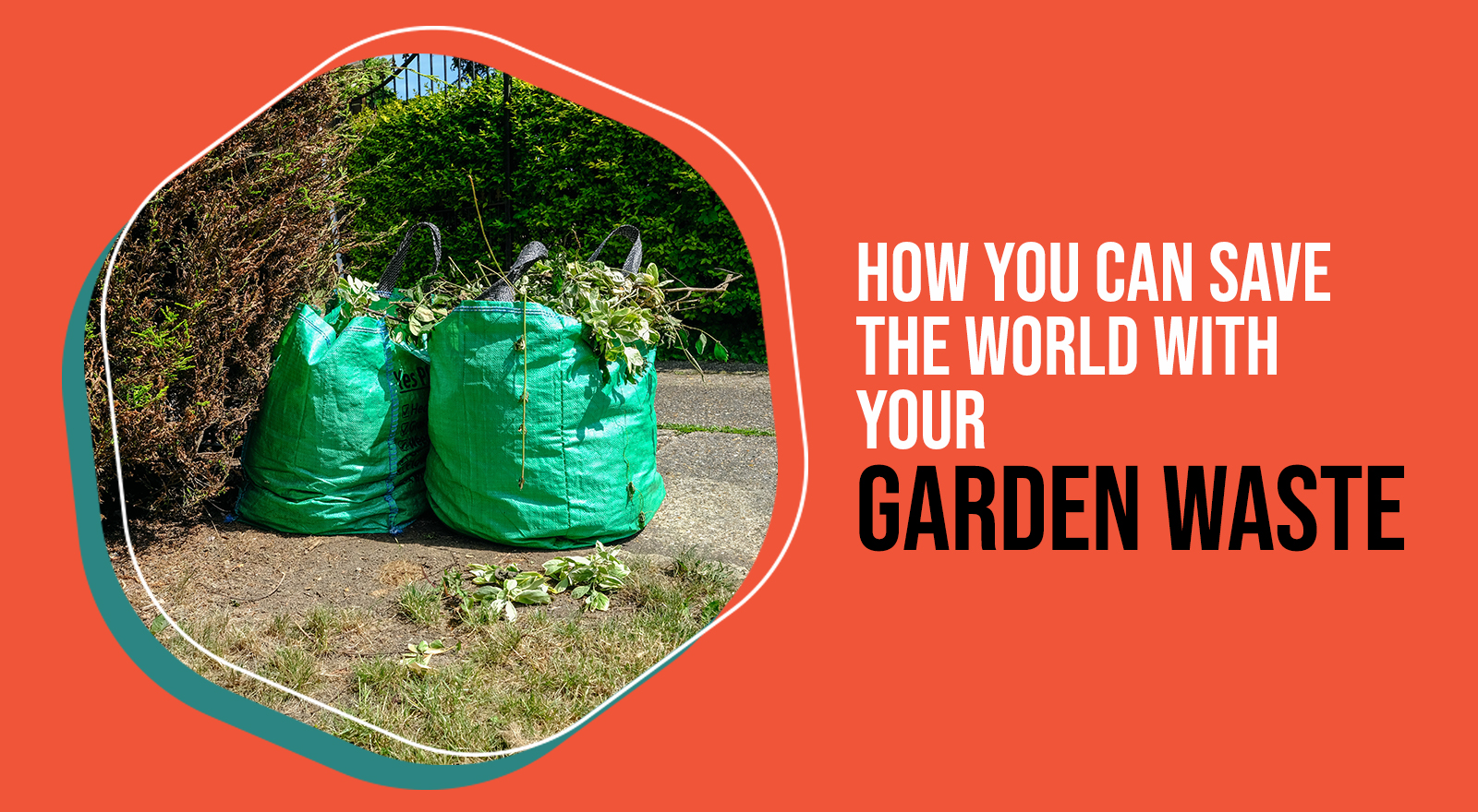 How you can save the world with your garden waste